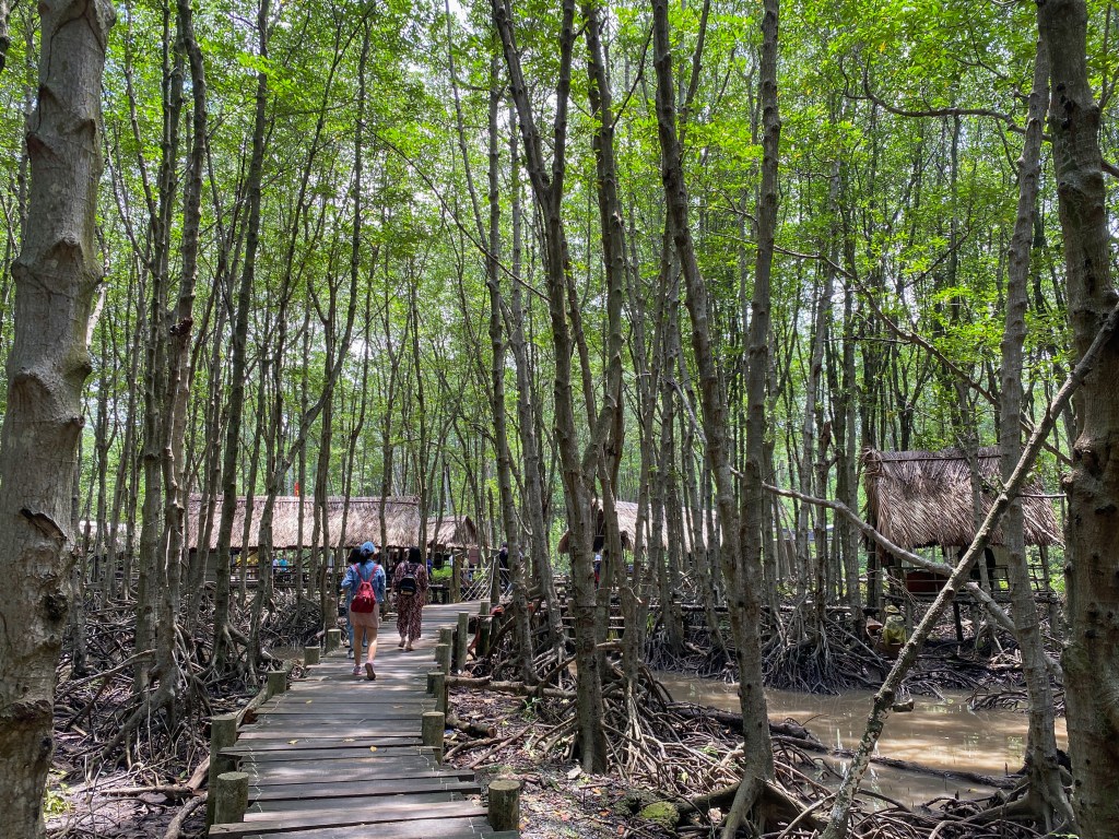 Cần Giờ: Hít oxy&nbsp;tươi