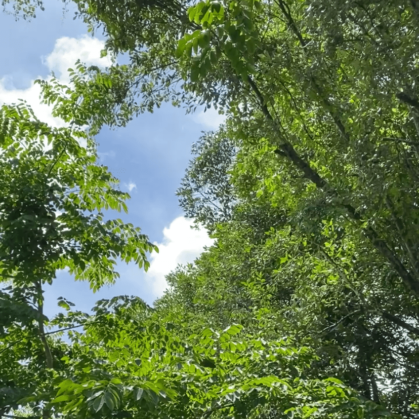 Cần Giờ: A beautiful day to be&nbsp;caught