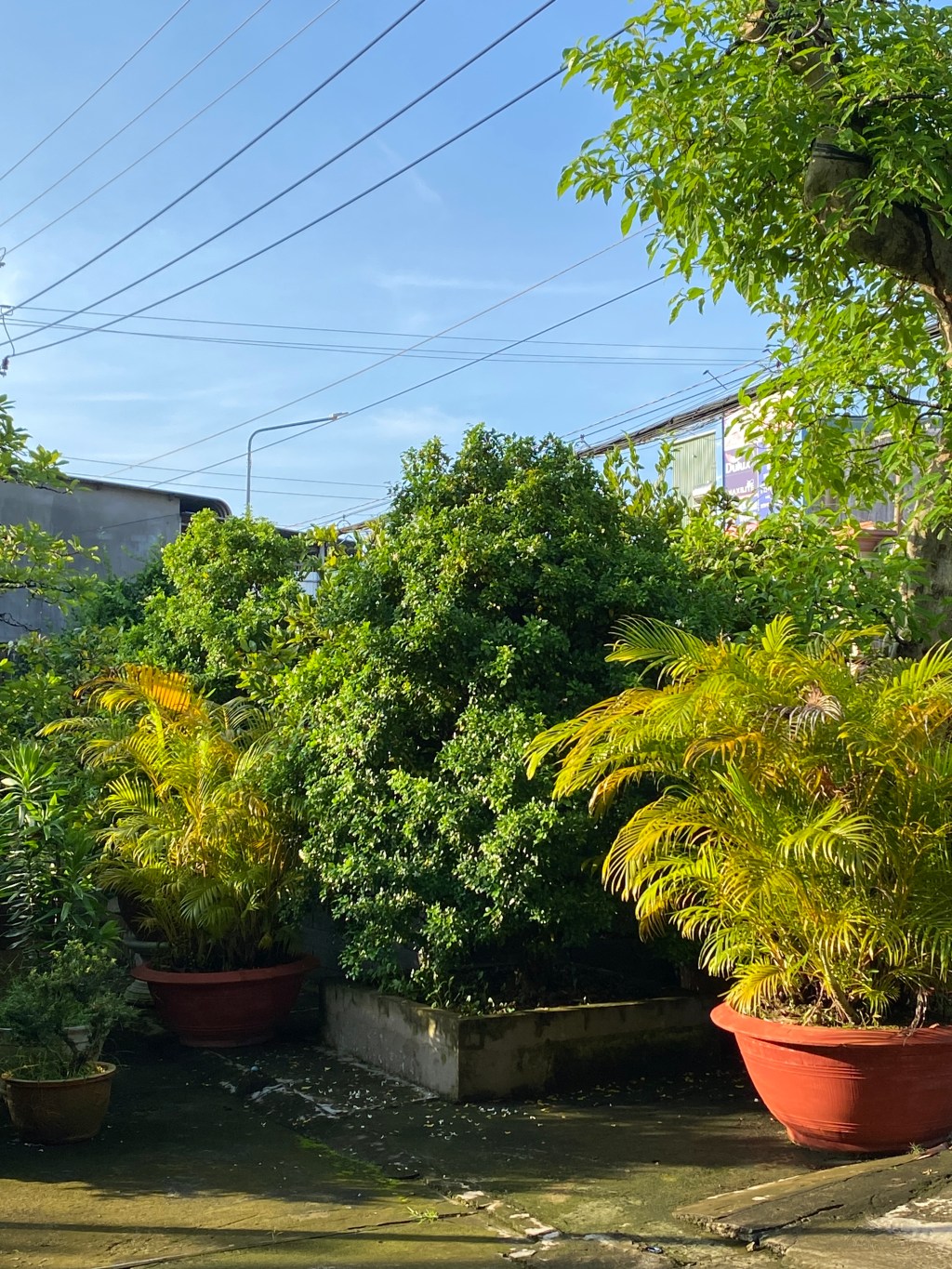 Mỹ Thọ: Ăn cưới miền&nbsp;Tây