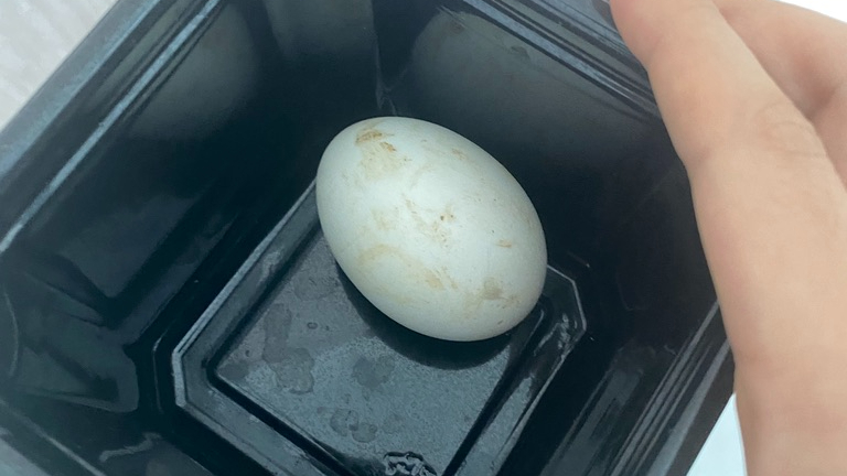 Quả trứng vịt&nbsp;lộn